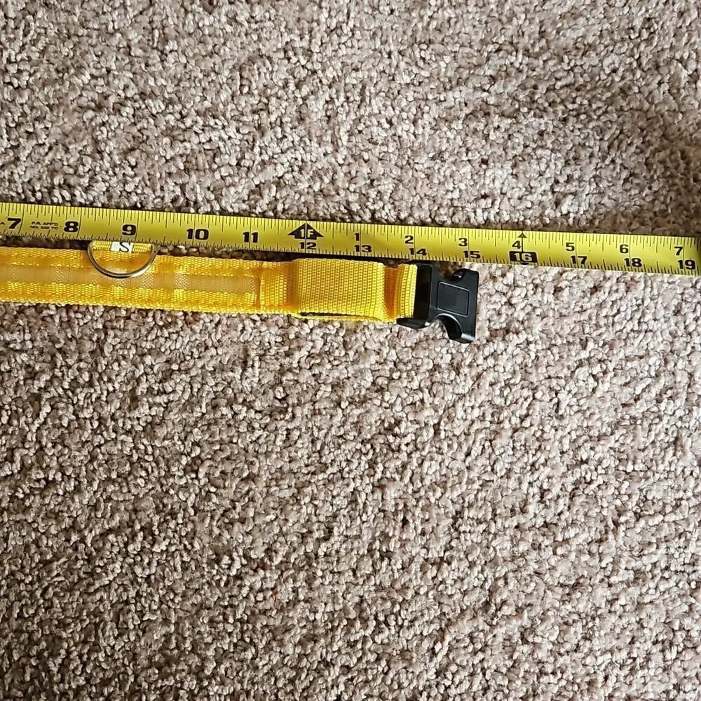 NWOT Glow in the dark LED dog collar